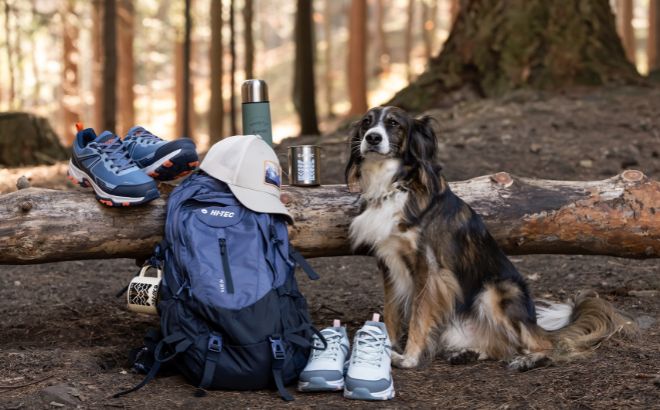 Wszystko co należy spakować do plecaka na wiosenny trekking