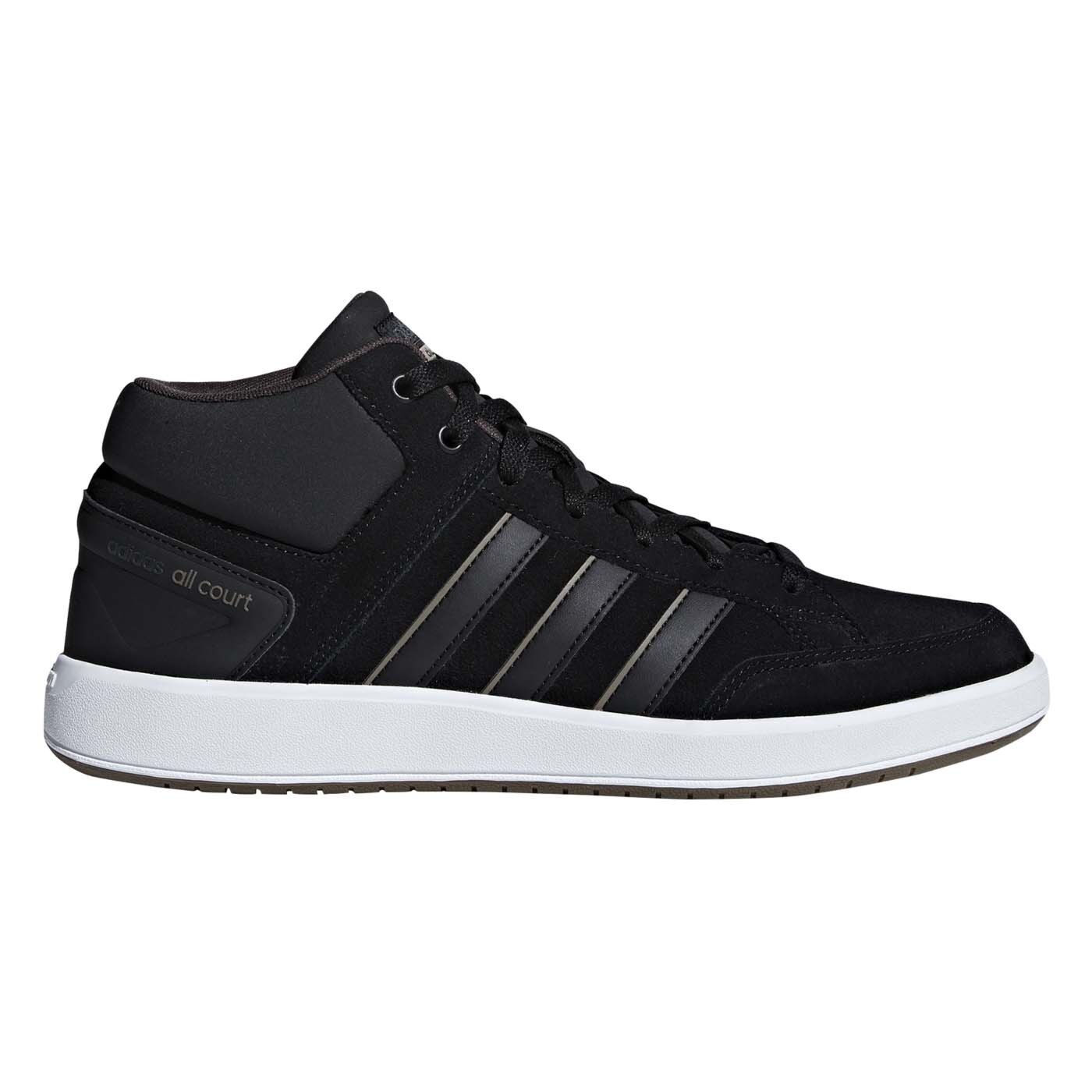 B43858 new arrivals